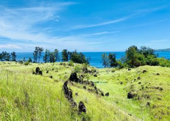 Artotel Kelola Kawasan Wisata Batuangus