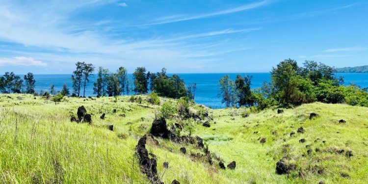 Artotel Kelola Kawasan Wisata Batuangus