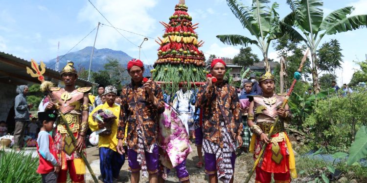 Srobong Gobang, Tradisi Tanam Tembakau di Temanggung