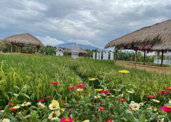 Berbuka Puasa Ramadan di Area Persawahan? Resto D’Sawah Tempatnya 
