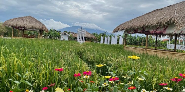 Berbuka Puasa Ramadan di Area Persawahan? Resto D’Sawah Tempatnya 