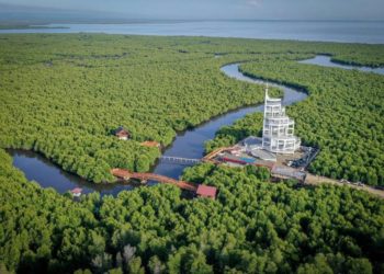 Menparekraf: Tower Mangrove Forest Park Langsa Ikon Pariwisata Baru di Aceh