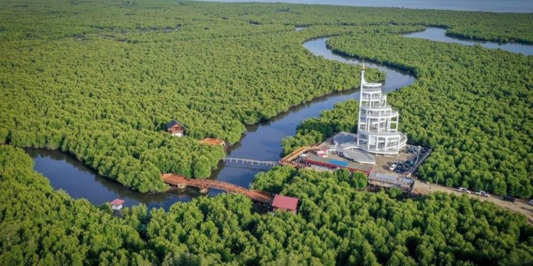 Menparekraf: Tower Mangrove Forest Park Langsa Ikon Pariwisata Baru di Aceh