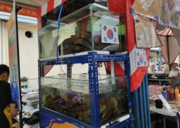 Nikmati Kudapan Asli Korea di Chessy Pen Shells!