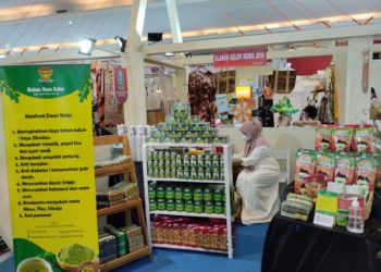 Cara Nikmat Konsumsi Daun Kelor