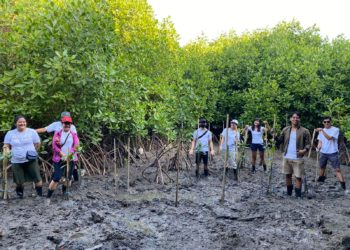 Lestarikan Lingkungan, Hotel Nikko Bali Benoa Beach Tanam 25 Bibit Pohon Bakau