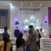 Beli White Lab di Jakarta Fair Lebih Murah dibanding di Store Manapun