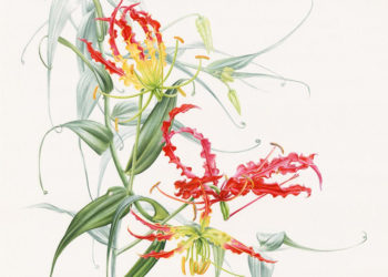 Unjuk Karya 37 Seniman di Pameran Ragam Flora Indonesia Ketiga