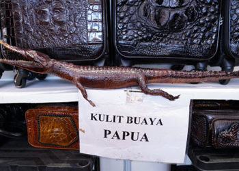 Indo Leather & Footwear Expo 2022 Digelar mulai Kamis Besok!