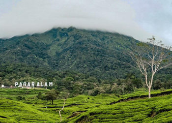 Andalkan Alam dan Budaya, Desa Wisata Tebat Lereh di Sumsel Masuk 50 Besar ADWI 2022