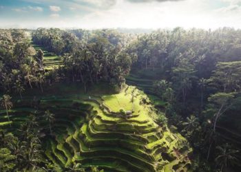 Wow Ubud-Bali Masuk Kawasan Terkeren di Dunia