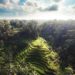 Wow Ubud-Bali Masuk Kawasan Terkeren di Dunia