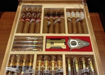 BIN Cigar, Lintingan Emas Hijau dari Jember yang Mendunia