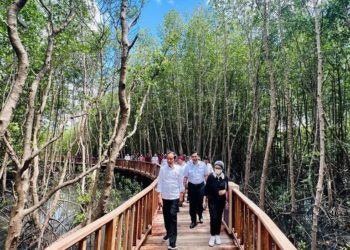 Tinjau Venue KTT G20, Jokowi: Kita Siap Menerima Tamu-tamu G20