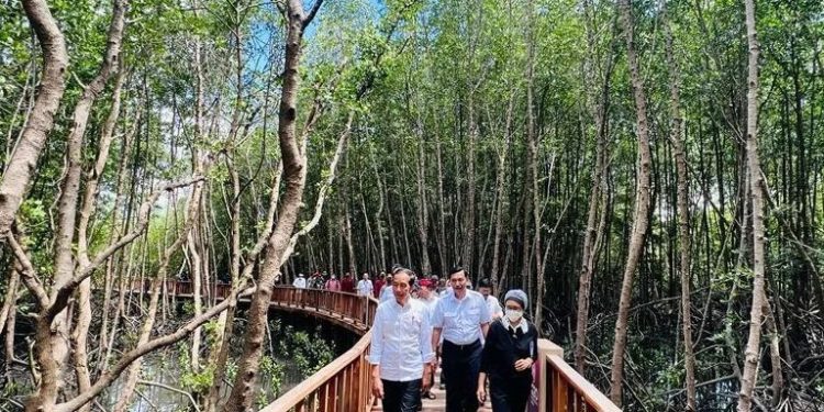 Tinjau Venue KTT G20, Jokowi: Kita Siap Menerima Tamu-tamu G20