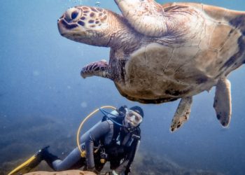 Bidik Devisa Pariwisata 5,95 Miliar Dolar AS, Ini Target Kemenparekraf 2023