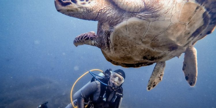 Bidik Devisa Pariwisata 5,95 Miliar Dolar AS, Ini Target Kemenparekraf 2023