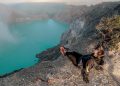 Mantap.. 4 Geopark Indonesia Masuk Jaringan UNESCO Global Geopark