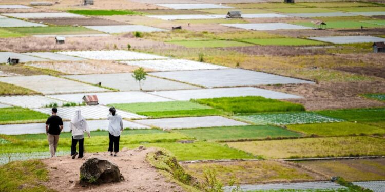 Gandeng Perguruan Tinggi, Menparekraf Luncurkan Program KKN/KKL #DiIndonesiaAja
