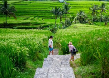 Jatiluwih Bali Jadi Pilihan Kunjungan Delegasi World Water Forum 2024