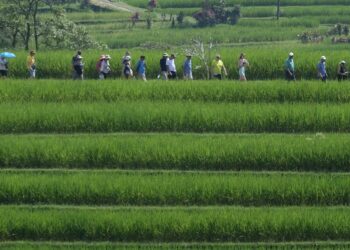 Indonesia Siapkan Beragam Side Event World Water Forum ke-10