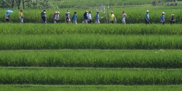 Indonesia Siapkan Beragam Side Event World Water Forum ke-10