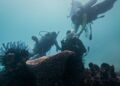 Jaga Keanekaragaman Hayati, Menparekraf Lakukan Transplantasi Terumbu Karang di Pulau Pramuka
