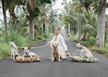 Selamatkan Anjing Jalanan dan Lingkungan Indonesia, Ini Kiprah Kali Dogwear