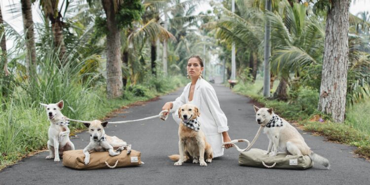 Selamatkan Anjing Jalanan dan Lingkungan Indonesia, Ini Kiprah Kali Dogwear