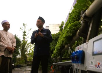 Kenalkan Solusi Smart Farming HydroponiX, Cara XL Axiata Dorong Digitalisasi Pertanian