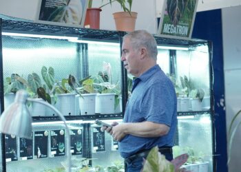 Floriculture Indonesia International Expo (FLOII) 2024: Suguhkan Keindahan dan Keunikan Tanaman Hias Indonesia