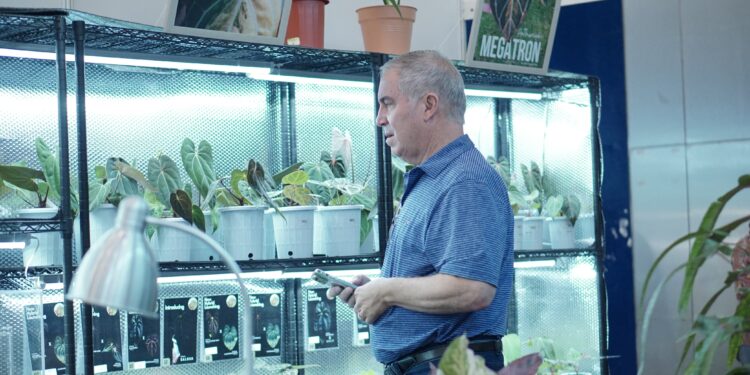 Floriculture Indonesia International Expo (FLOII) 2024: Suguhkan Keindahan dan Keunikan Tanaman Hias Indonesia