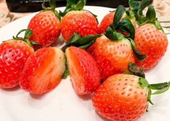 Rasakan Kemewahan Buah Korea: Strawberry dan Persimmon Premium Kini Ada di Indonesia!