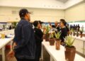 FLOII Expo 2024  Ajarkan Usaha Budidaya Tanaman Hias Tanduk Rusa
