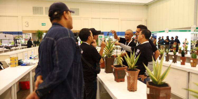 FLOII Expo 2024  Ajarkan Usaha Budidaya Tanaman Hias Tanduk Rusa