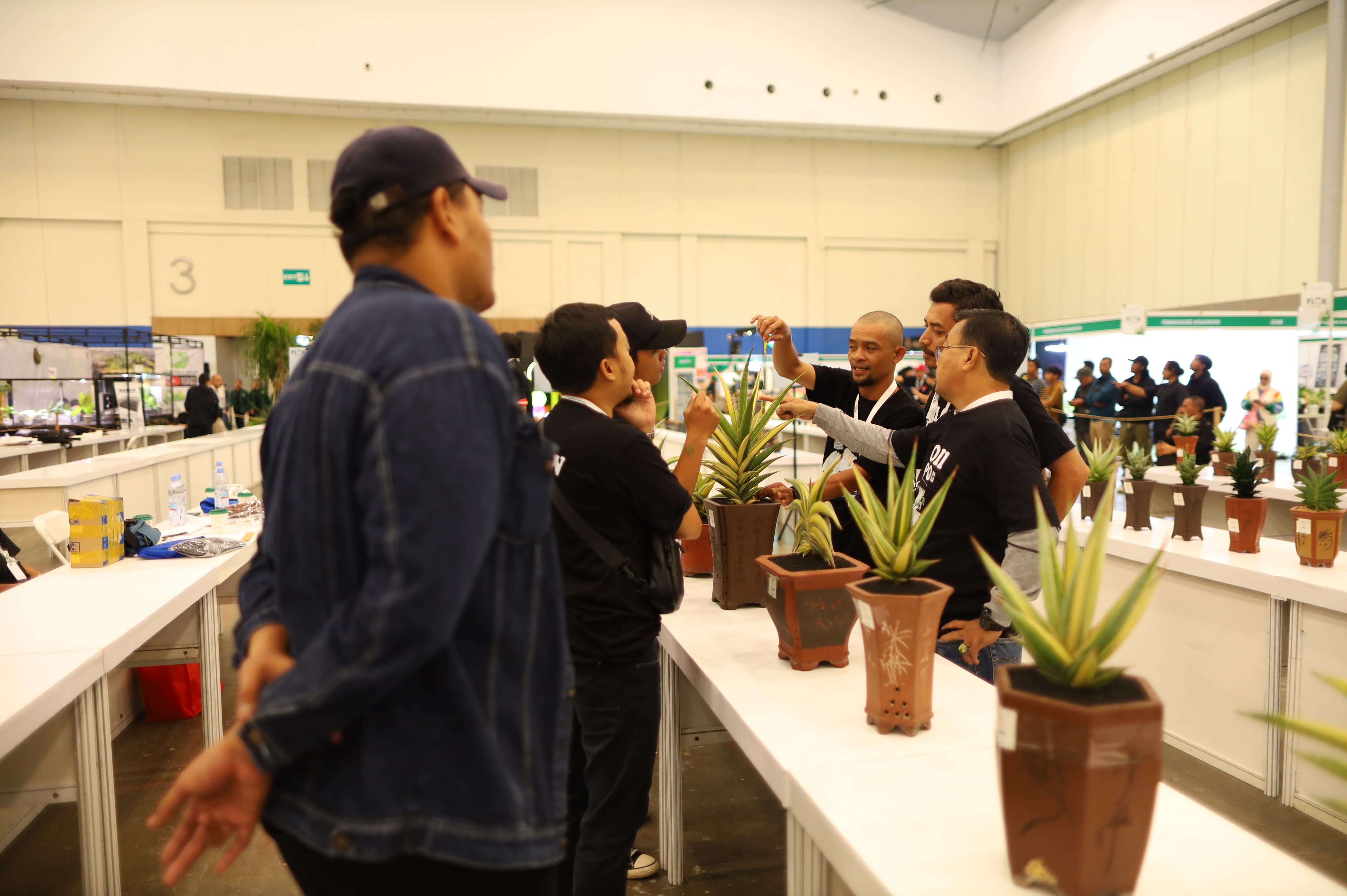 FLOII Expo 2024  Ajarkan Usaha Budidaya Tanaman Hias Tanduk Rusa