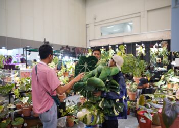 FLOII Expo 2024 Catatkan Transaksi Rp10,6 Miliar, Optimis Industri Florikultura Indonesia Mendunia