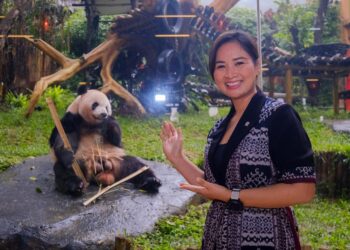 Taman Safari, Wamenpar: Siap Sambut Wisatawan di Libur Natal dan Tahun Baru