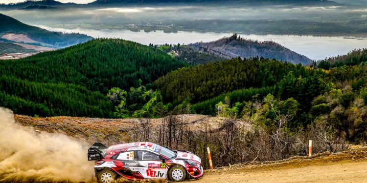 Presiden WRC Bakal Bertemu Menpora, Indonesia Bersiap Gelar Kejuaraan Reli Dunia di Sumut