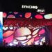 Synchronize 2025 Gambir Expo, Hadirkan Ratusan Musisi, Angkat Tema Saling Silang
