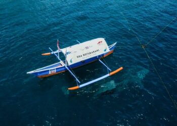 Jelajahi Botubarani, Wamenpar Ajak Jaga Keberlangsungan Hiu Paus