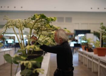 FLOII Expo 2025 Digelar 4 Hari, Catatkan Total Transaksi Rp10 Miliar