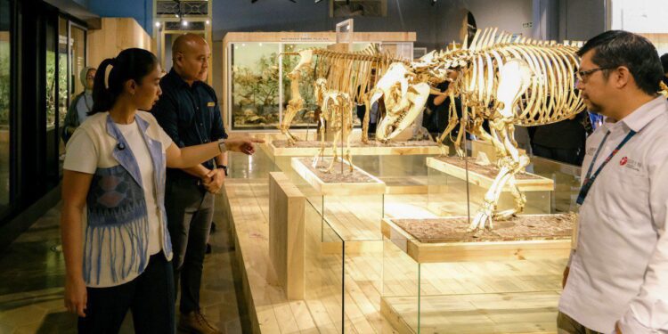 Destinasi Wisata Bogor Siap Sambut Libur Nataru