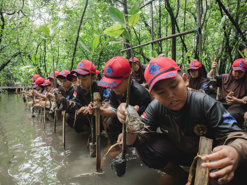 Memperingati World Environment Education Day, HARRIS Puri Mansion dan Oakwood PIK Gelar Mangrove Education & Planting