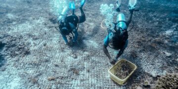 Forum STDev Circle Pertegas Pariwisata Berkelanjutan Fondasi Daya Saing Global Indonesia