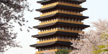 Libur Lebaran 2026 Makin Spesial dengan Liburan Musim Semi di Korea