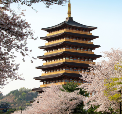 Libur Lebaran 2026 Makin Spesial dengan Liburan Musim Semi di Korea