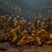 Ghost In The Cell Belum Rilis di Indonesia Laris Manis Dibeli 86 Negara