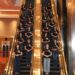 Top 20 Finalis Miss Jakarta Fair 2026 Resmi Terpilih, Ini Nama-nama Mereka!