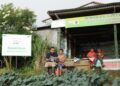 Astra Internasional Ubah Rumah Koran Desa Kanreapia Jadi Sentra Sayuran di Sulawesi Selatan